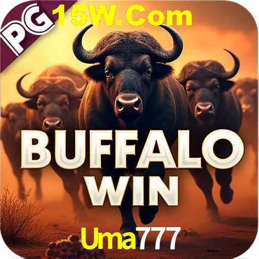 Security Systems Uma777